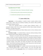 Kauno teritorinės statistikos valdybos rinkodaros planas 20 puslapis