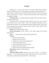Kauno teritorinės statistikos valdybos rinkodaros planas 3 puslapis