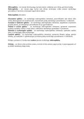 Kavinės aplinkos tyrimas: "Prie Pilies" 5 puslapis