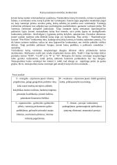 Kavinės aplinkos tyrimas: "Prie Pilies" 9 puslapis
