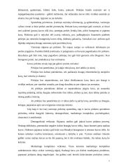 Kavos vartotojų sprendimų priėmimo proceso modeliavimas 7 puslapis