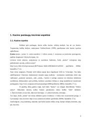 Kazino paslaugų vartojimas sunkmečiu: kazino UAB "Tete-a-tete" 4 puslapis