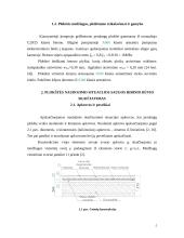 Kiaurymėtosios gelžbetoninės plokštės projektavimas 3 puslapis