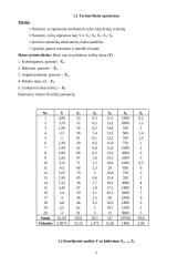 Kiekybiniai sprendimo metodai 2 puslapis