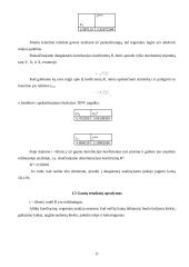 Kiekybiniai sprendimo metodai 11 puslapis