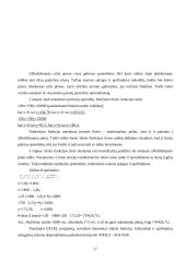 Kiekybiniai sprendimo metodai 17 puslapis