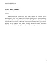 Kiekybinė analizė 3 puslapis