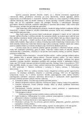 Kokybės vadyba spartėjančiomis globalizacijos sąlygomis Lietuvoje 2 puslapis