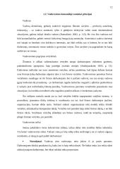 Komandinio darbo specifika kultūrinėje organizacijoje 11 puslapis