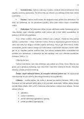 Komandinio darbo specifika kultūrinėje organizacijoje 12 puslapis