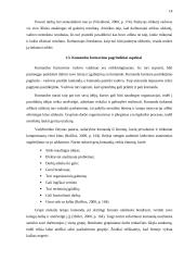 Komandinio darbo specifika kultūrinėje organizacijoje 13 puslapis