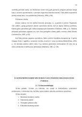 Komandinio darbo specifika kultūrinėje organizacijoje 15 puslapis