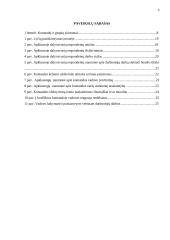 Komandinio darbo specifika kultūrinėje organizacijoje 2 puslapis