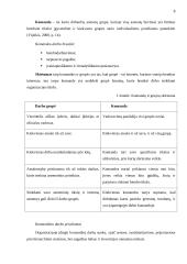 Komandinio darbo specifika kultūrinėje organizacijoje 7 puslapis