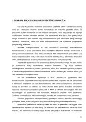 Kompiuterinės technikos literatūros apžvalga 11 puslapis