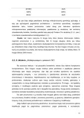 Kompiuterinės technikos literatūros apžvalga 13 puslapis