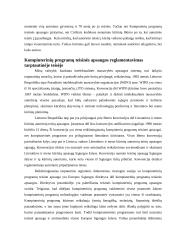 Kompiuterinių programų teisinė apsauga 11 puslapis