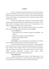 Konceptualiosios melo metaforos lietuvių pasaulėvaizdyje 1 puslapis