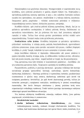 UAB „ xxxxxxx“ konfliktų valdymas 19 puslapis