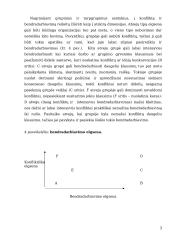UAB „ xxxxxxx“ konfliktų valdymas 5 puslapis