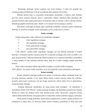 Konkurencinio marketingo sprendimai: logistikos įmonė UAB "Bleiras" 16 puslapis