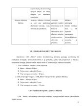 Konkurencinio marketingo sprendimai: logistikos įmonė UAB "Bleiras" 19 puslapis