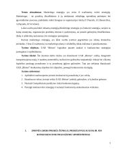Konkurencinio marketingo sprendimai: logistikos įmonė UAB "Bleiras" 3 puslapis