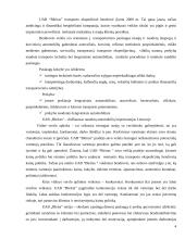 Konkurencinio marketingo sprendimai: logistikos įmonė UAB "Bleiras" 4 puslapis