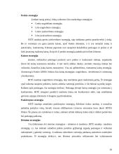 Konkurencinio marketingo sprendimai: UAB "Bitė" 20 puslapis