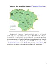 Konkurencinio marketingo sprendimai: UAB "Bitė" 5 puslapis