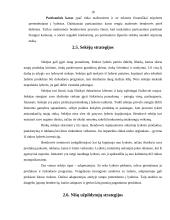 Konkurencinių pranašumų kūrimas 17 puslapis