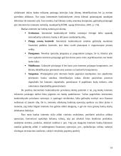 Konkurencinių pranašumų vystymo galimybės internete 18 puslapis