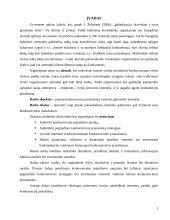 Konkurencinių pranašumų vystymo galimybės internete 2 puslapis