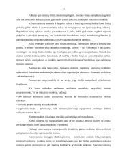 Kontrolės proceso svarba įmonės veikloje 10 puslapis