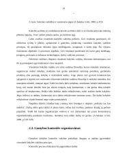 Kontrolės proceso svarba įmonės veikloje 13 puslapis