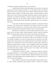 Kontrolės proceso svarba įmonės veikloje 19 puslapis