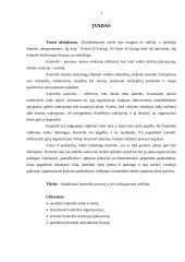Kontrolės proceso svarba įmonės veikloje 2 puslapis