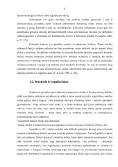 Kontrolės proceso svarba įmonės veikloje 5 puslapis