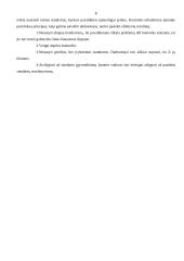 Kontrolės valdymas įmonėje: viešbutis "Jūratė" 8 puslapis