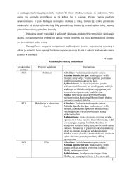 Kontrolingo sistemos diegimas įmonėje 11 puslapis