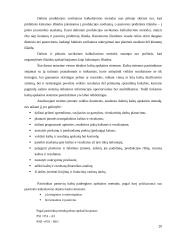 Kontrolingo sistemos diegimas įmonėje 20 puslapis