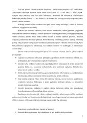 Kontrolingo sistemos diegimas įmonėje 5 puslapis