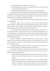 Kreditiniai santykiai su bankais: G. Stankevičiaus gamybinė komercinė firma "Gintaras" 7 puslapis