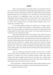 Kredito rizikos valdymo praktika 2 puslapis