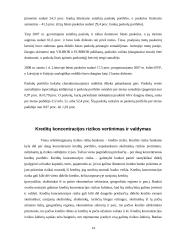 Kredito rizikos valdymo praktika 13 puslapis