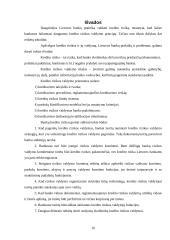 Kredito rizikos valdymo praktika 15 puslapis