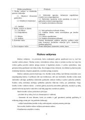 Kredito rizikos valdymo praktika 5 puslapis