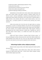 Kredito rizikos valdymo praktika 6 puslapis