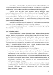 Teoriniai kredito aspektai ir kredito sistema Lietuvoje 19 puslapis