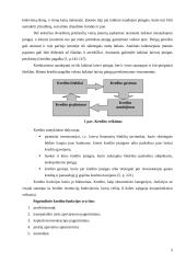 Teoriniai kredito aspektai ir kredito sistema Lietuvoje 4 puslapis